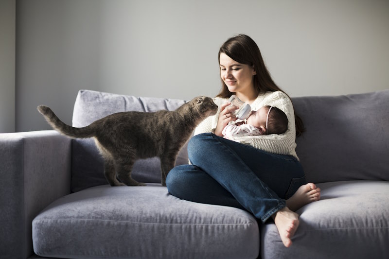 Bebés y mascotas en casa - ¿Cómo disfrutar de esta gran experiencia?