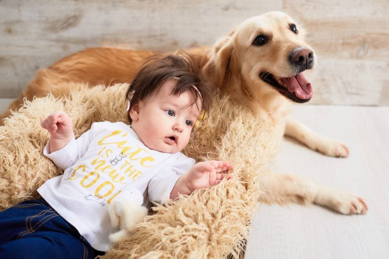 Bebés y mascotas en casa - ¿Cómo disfrutar de esta gran experiencia?